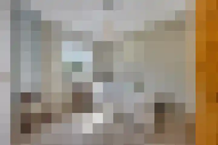 Verheullaan 118 Bergschenhoek thumbnail 25