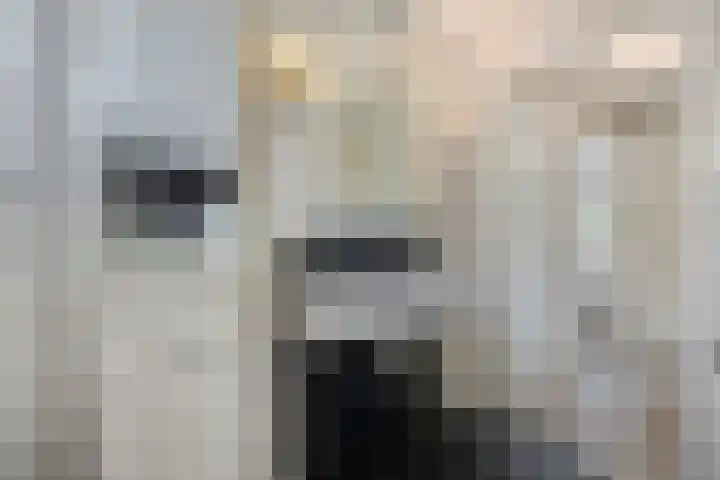 Verheullaan 118 Bergschenhoek thumbnail 27