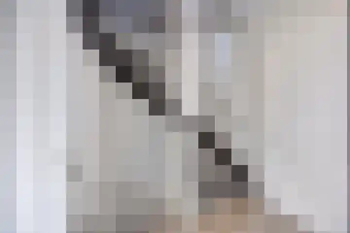 Verheullaan 118 Bergschenhoek thumbnail 28