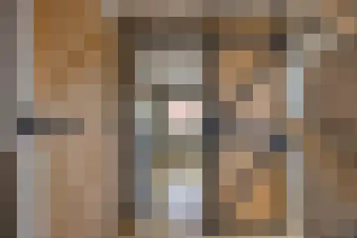 Verheullaan 118 Bergschenhoek thumbnail 29