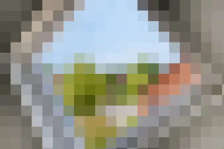 Verheullaan 118 Bergschenhoek thumbnail 32