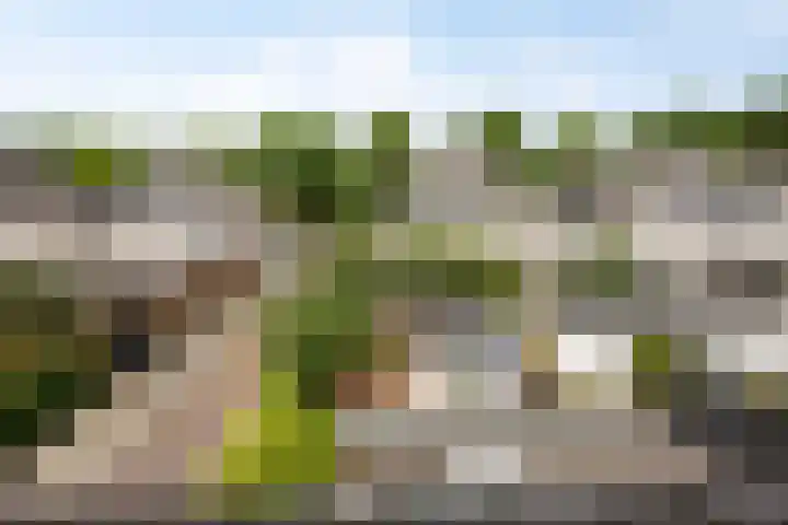 Verheullaan 118 Bergschenhoek thumbnail 35