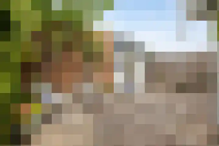 Verheullaan 118 Bergschenhoek thumbnail 38