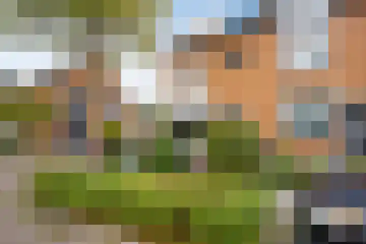 Verheullaan 118 Bergschenhoek thumbnail 5