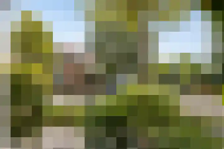 Verheullaan 118 Bergschenhoek thumbnail 7