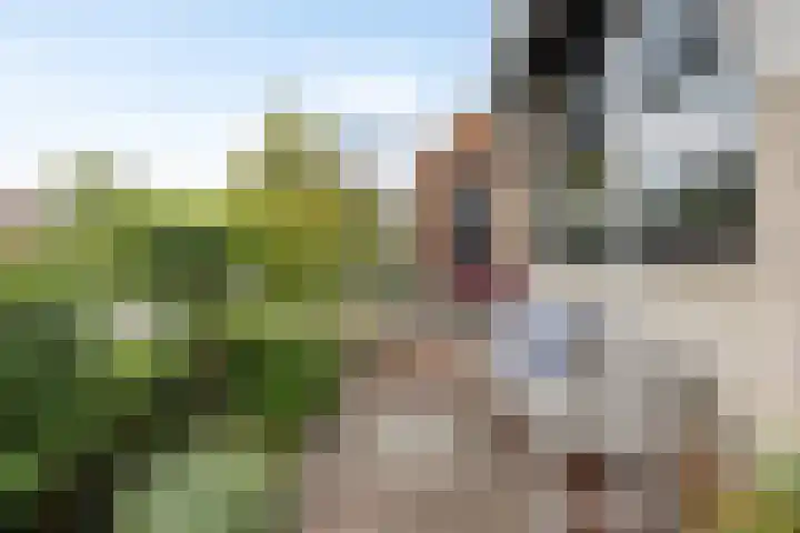 Verheullaan 118 Bergschenhoek thumbnail 8