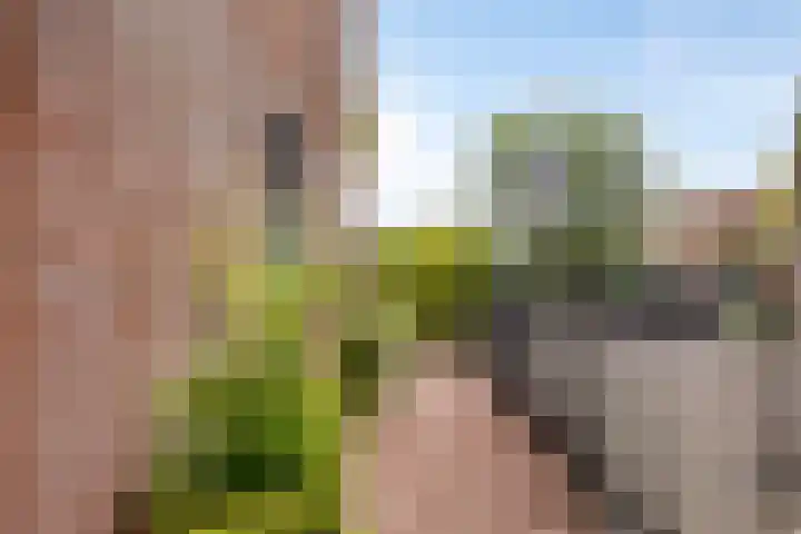 Verheullaan 118 Bergschenhoek thumbnail 9