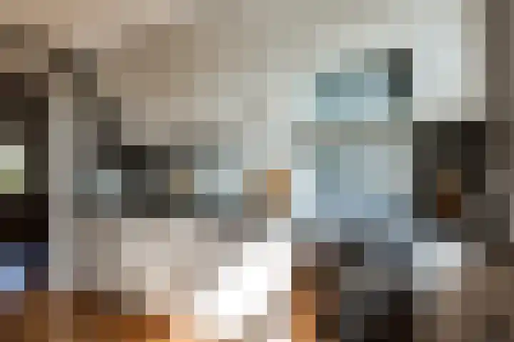 Verheullaan 136 Bergschenhoek thumbnail 17