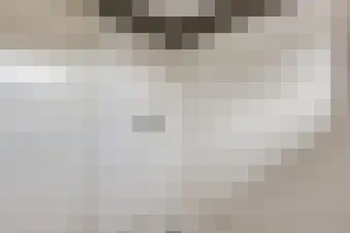 Verheullaan 136 Bergschenhoek thumbnail 25