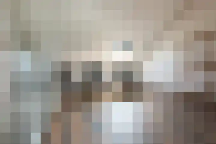 Verheullaan 136 Bergschenhoek thumbnail 26