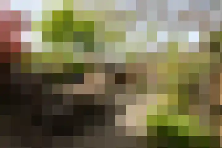 Verheullaan 136 Bergschenhoek thumbnail 29