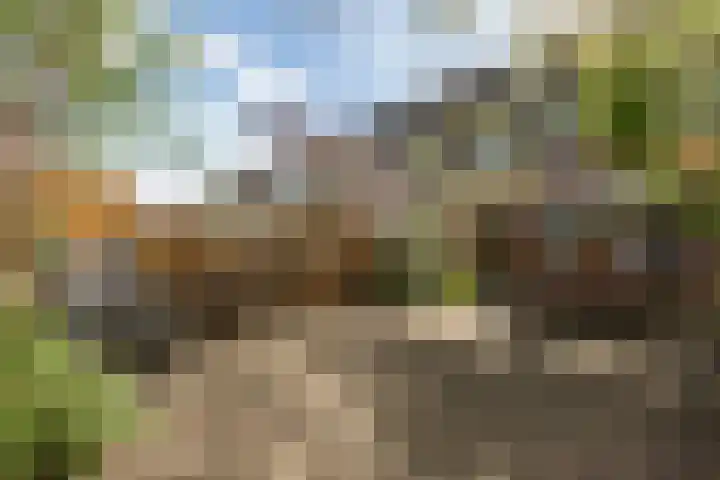 Verheullaan 136 Bergschenhoek thumbnail 31