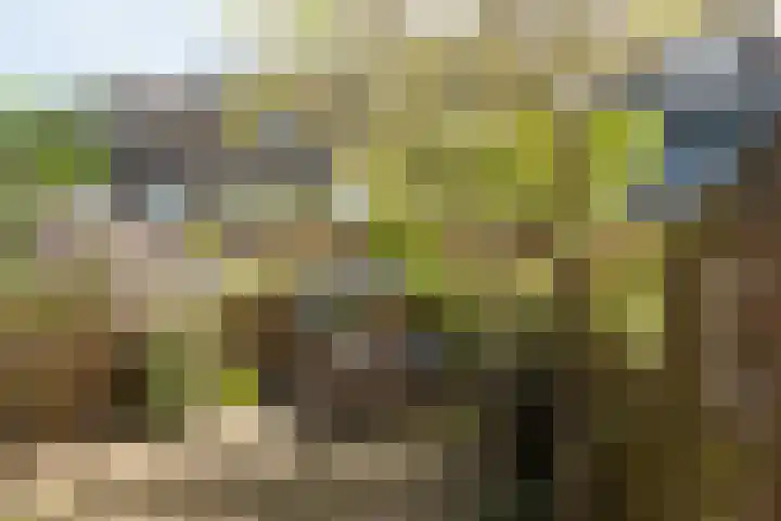 Verheullaan 136 Bergschenhoek thumbnail 32