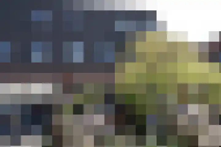 Verheullaan 136 Bergschenhoek thumbnail 33