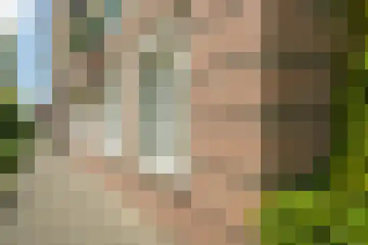 Verheullaan 2 Bergschenhoek thumbnail 10