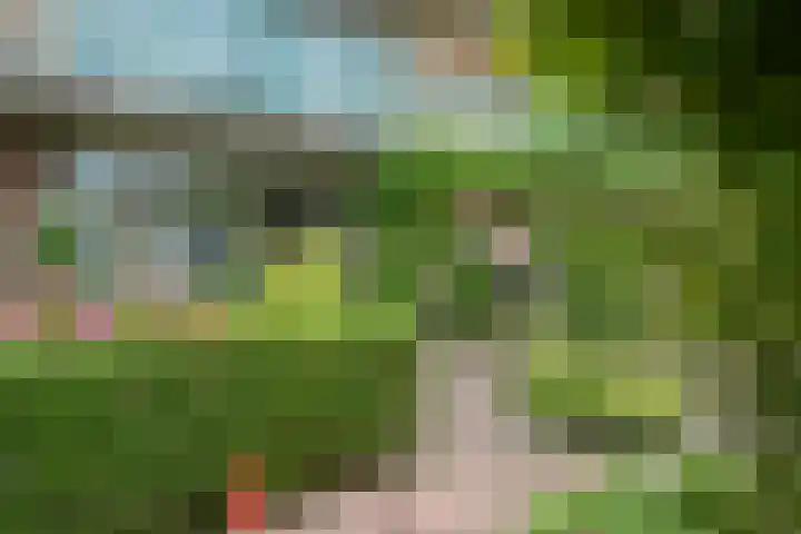 Verheullaan 2 Bergschenhoek thumbnail 13
