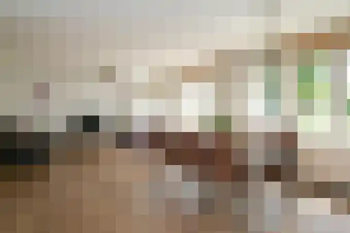 Verheullaan 2 Bergschenhoek thumbnail 23