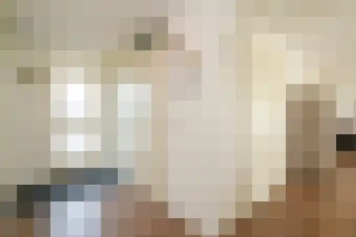 Verheullaan 2 Bergschenhoek thumbnail 24