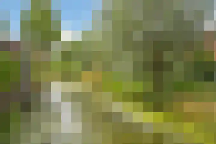 Verheullaan 2 Bergschenhoek thumbnail 34