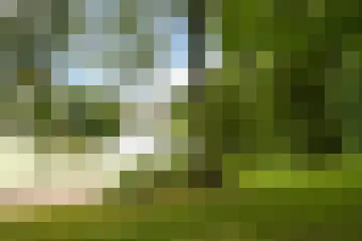 Verheullaan 2 Bergschenhoek thumbnail 35