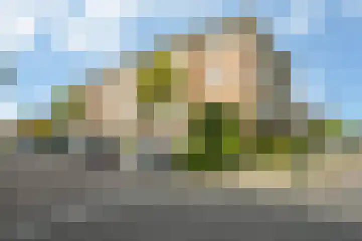 Verheullaan 2 Bergschenhoek thumbnail 40