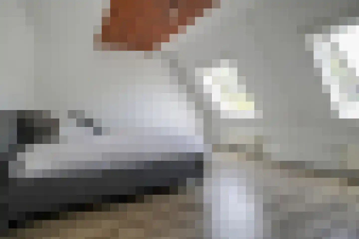 Verheullaan 78 Bergschenhoek thumbnail 20