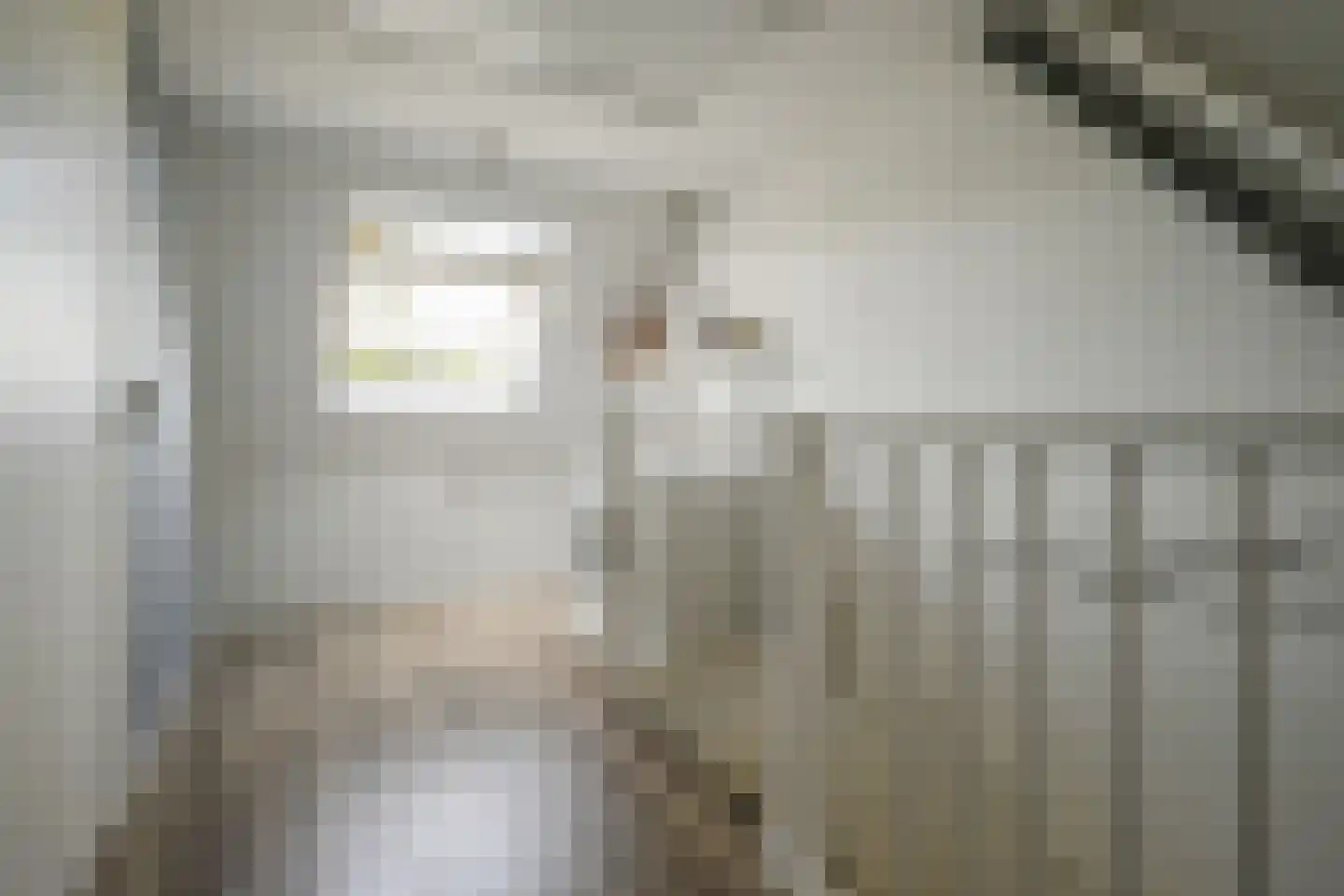 Verheullaan 78 Bergschenhoek thumbnail 30