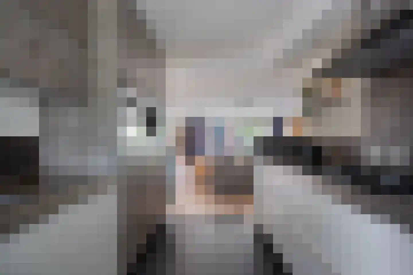 Verheullaan 94 Bergschenhoek thumbnail 16