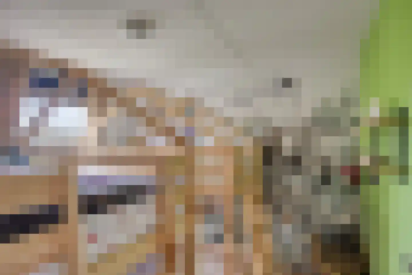 Verheullaan 94 Bergschenhoek thumbnail 18