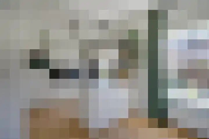 Verheulstraat 3 Utrecht thumbnail 15