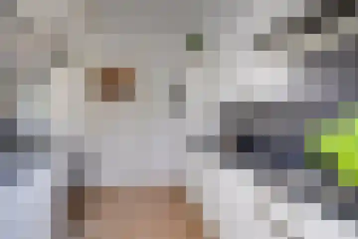Verheulstraat 3 Utrecht thumbnail 19