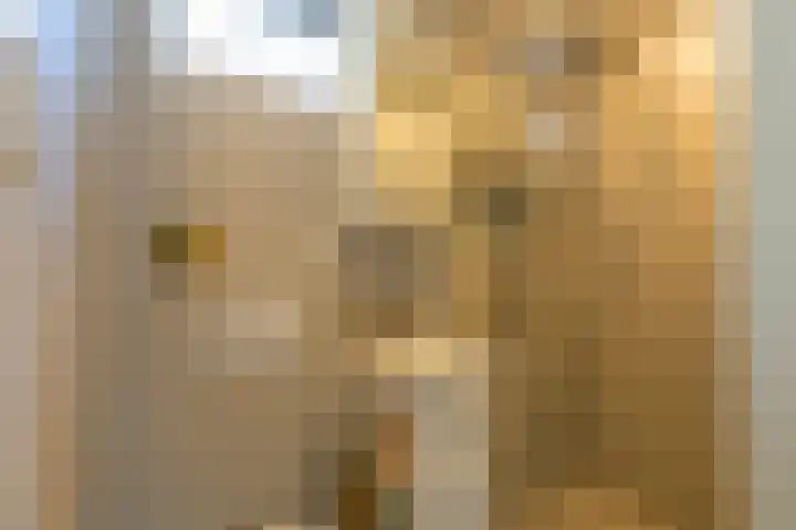 Verheulstraat 3 Utrecht thumbnail 42