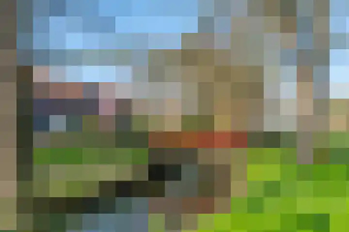 Verheulstraat 3 Utrecht thumbnail 49