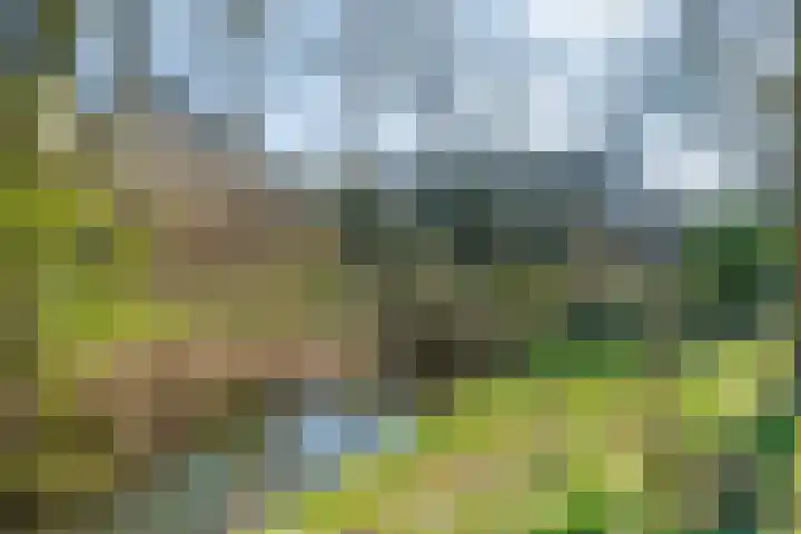 Verheulstraat 3 Utrecht thumbnail 51