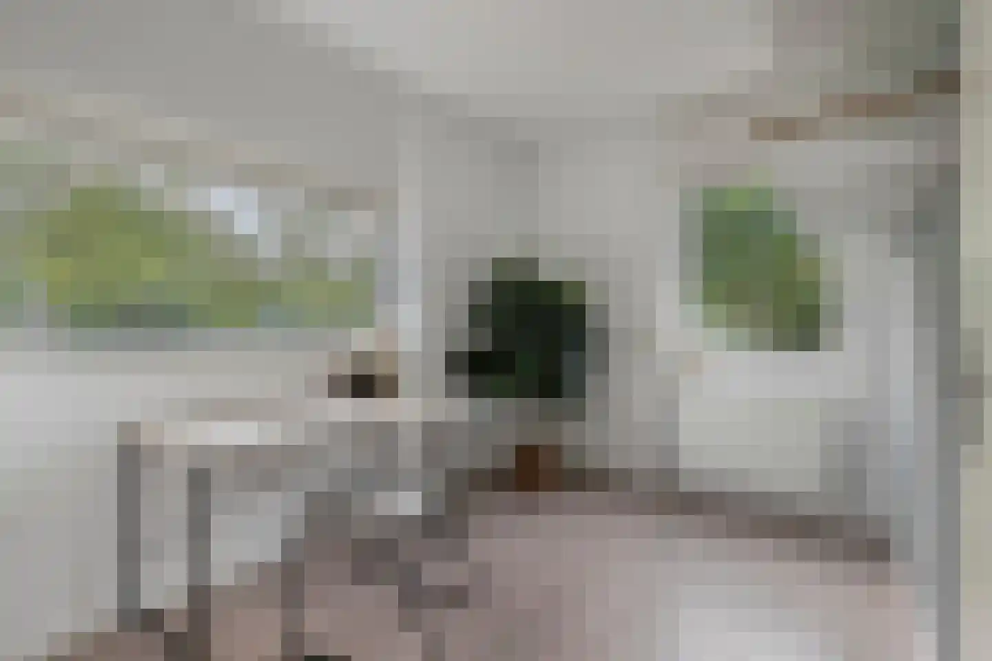Verhoefbelt 1 Zwolle thumbnail 44