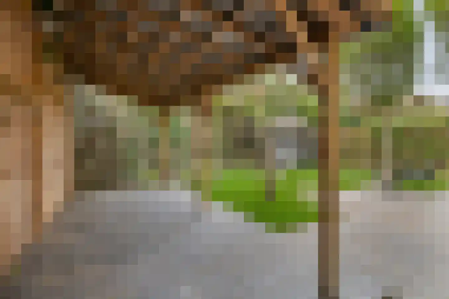 Verhoefbelt 1 Zwolle thumbnail 54