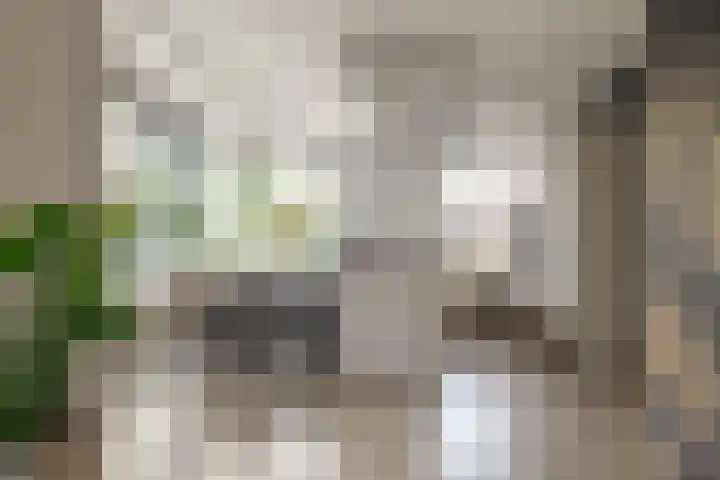 Verhoefbelt 22 Zwolle thumbnail 12