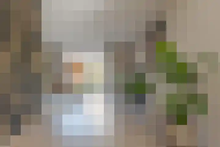 Verhoefbelt 22 Zwolle thumbnail 13