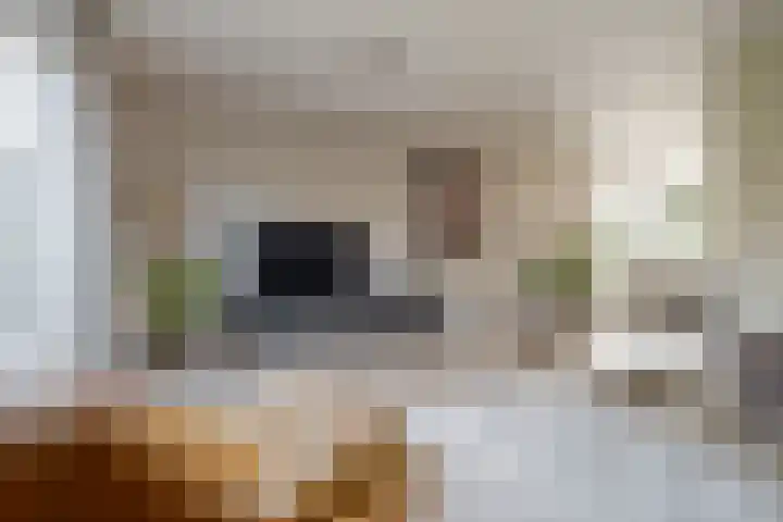 Verhoefbelt 22 Zwolle thumbnail 16