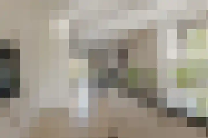 Verhoefbelt 22 Zwolle thumbnail 17