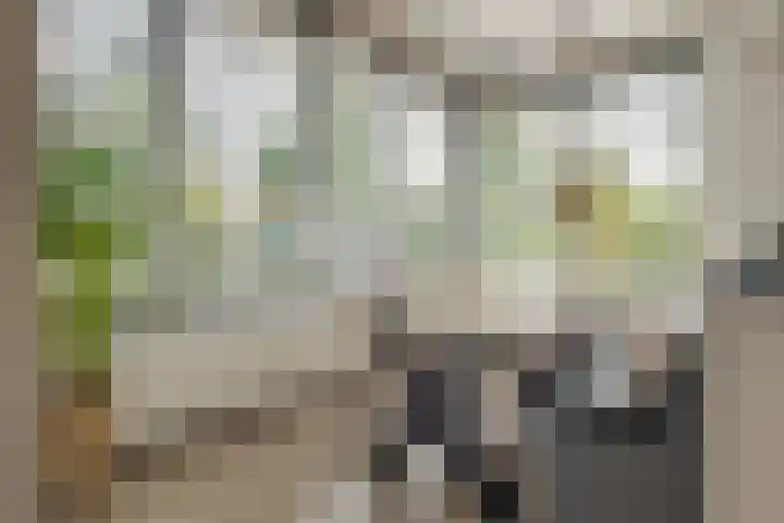 Verhoefbelt 22 Zwolle thumbnail 20