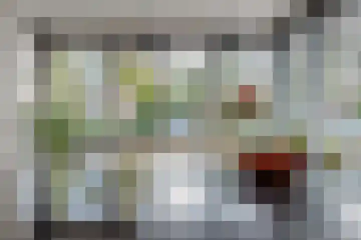 Verhoefbelt 22 Zwolle thumbnail 21