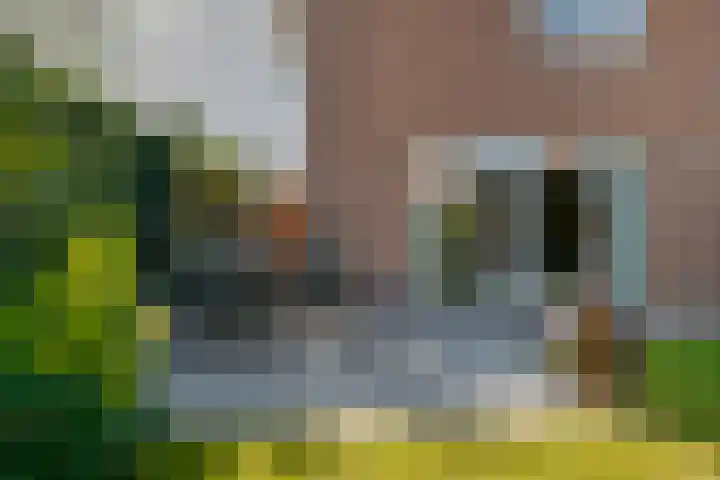 Verhoefbelt 22 Zwolle thumbnail 24