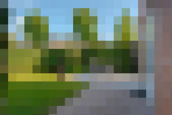 Verhoefbelt 22 Zwolle thumbnail 26