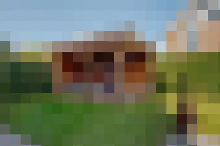 Verhoefbelt 22 Zwolle thumbnail 27