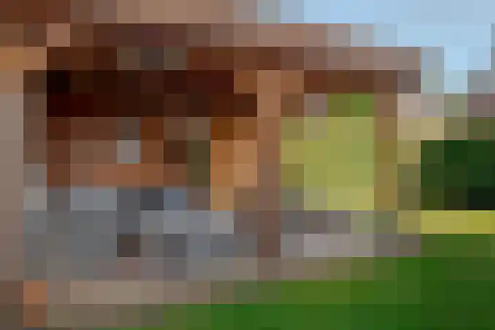 Verhoefbelt 22 Zwolle thumbnail 28