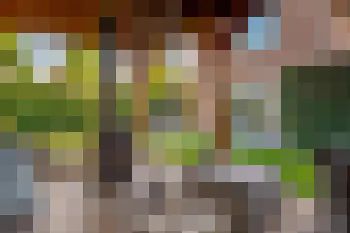 Verhoefbelt 22 Zwolle thumbnail 29