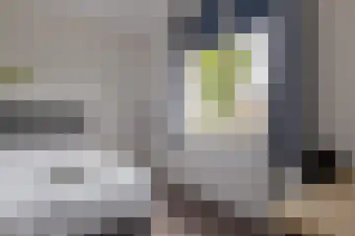 Verhoefbelt 22 Zwolle thumbnail 36