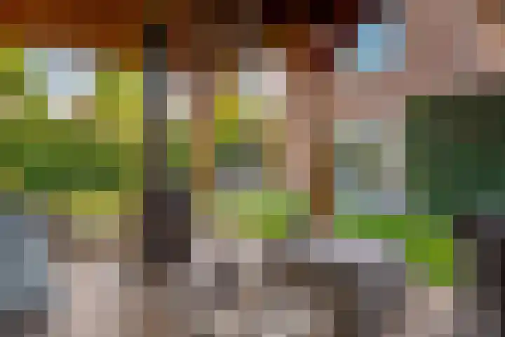 Verhoefbelt 22 Zwolle thumbnail 4