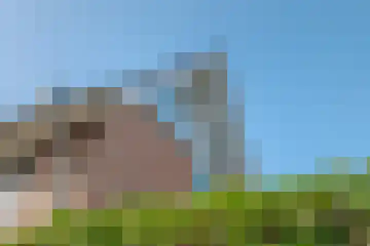 Verhoefbelt 22 Zwolle thumbnail 56